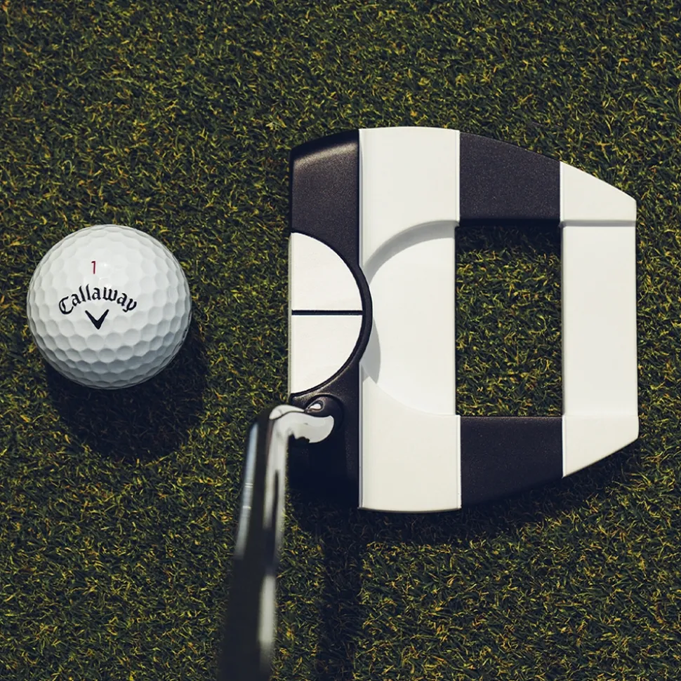 Ai-DUAL Jailbird 1/2 Ball Cruiser DB Putter