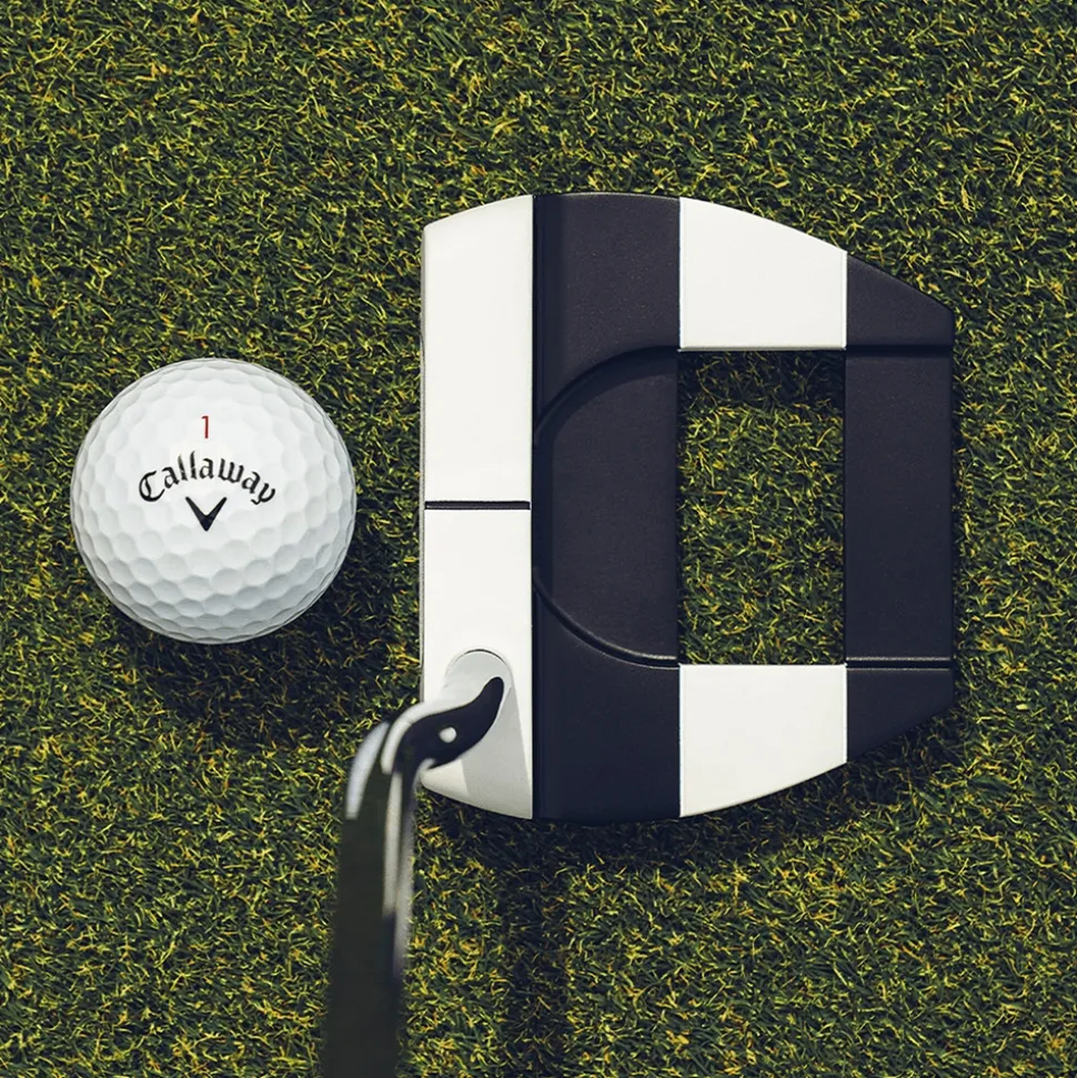 Ai-DUAL Jailbird Mini DB Putter