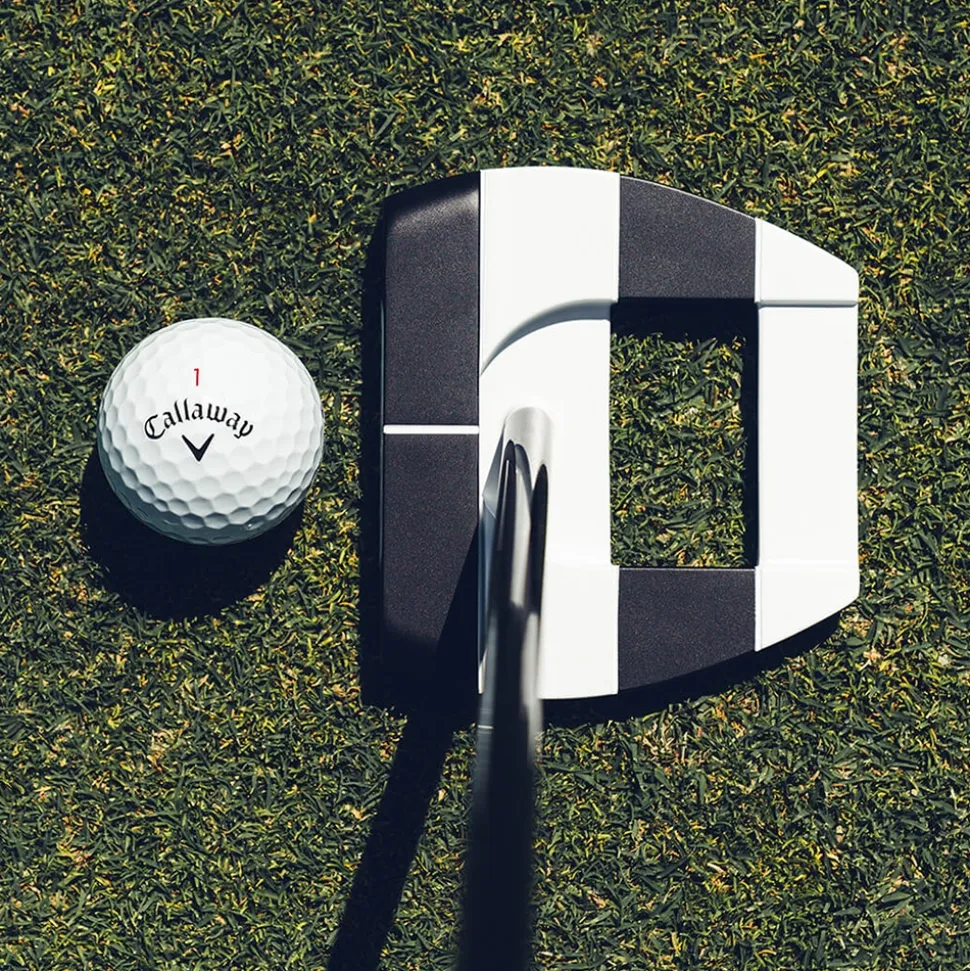 Ai-DUAL Jailbird Square 2 Square Putter