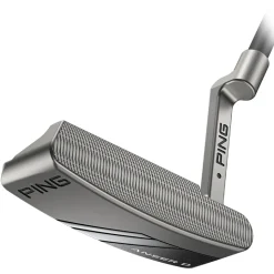 Anser D Putter