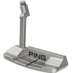 Anser D Putter