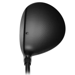 DS-Adapt MAX Wood