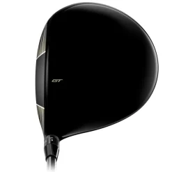 GT1 Driver