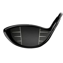 GTS3 Driver Dame