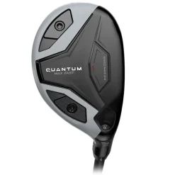 Quantum Max Fast Hybrid