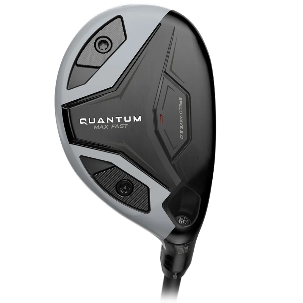 Quantum Max Fast Hybrid