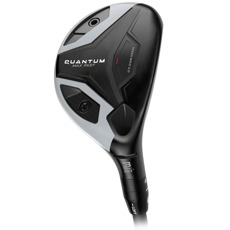 Quantum Max Fast Hybrid Dame