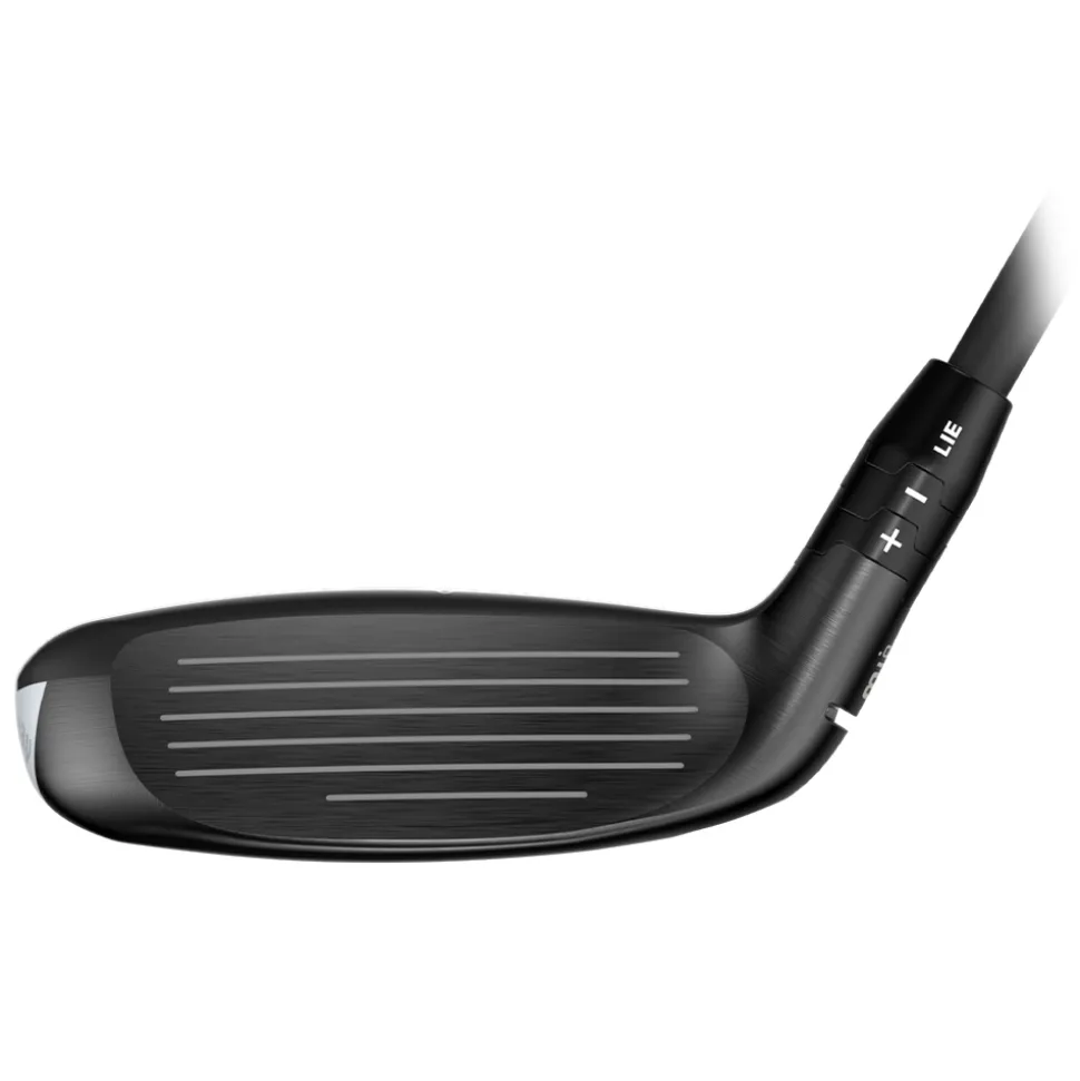 Quantum Max Fast Hybrid Dame