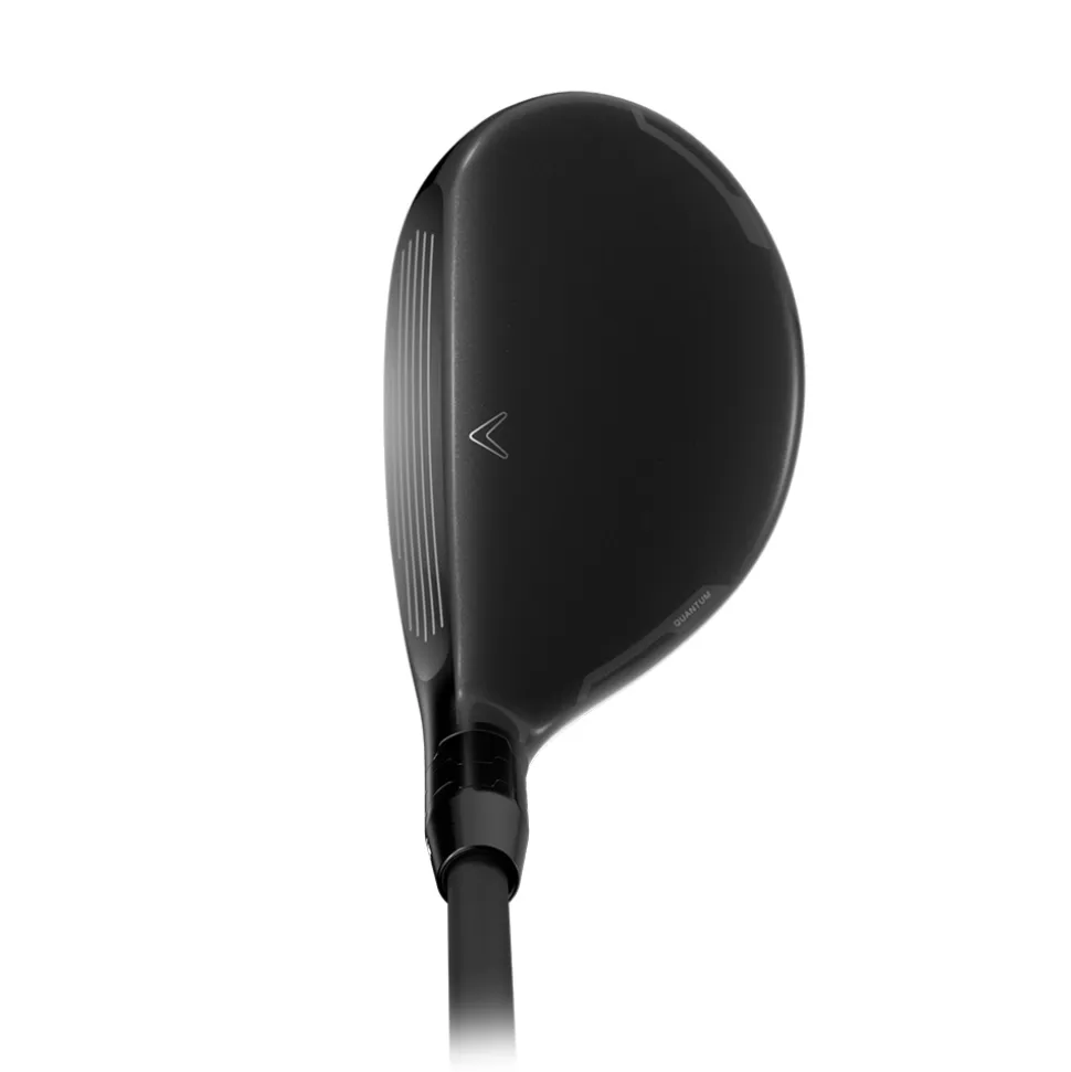 Quantum Max Fast Hybrid Dame