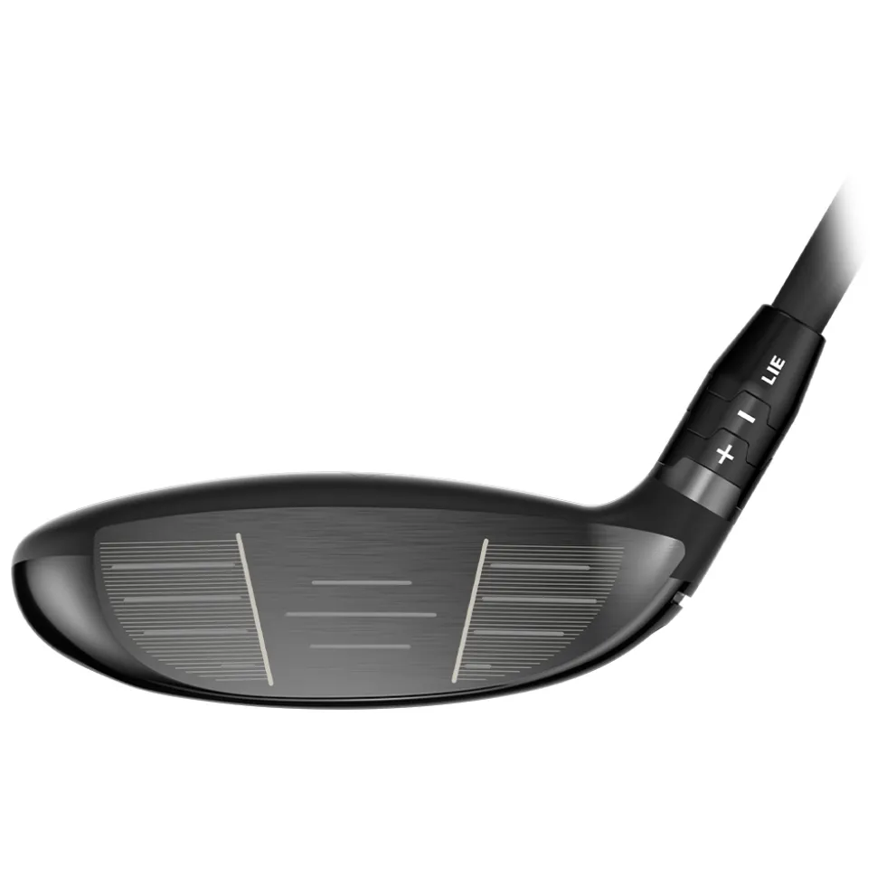 Quantum Max Fast Wood Dame