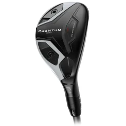 Quantum Max Hybrid
