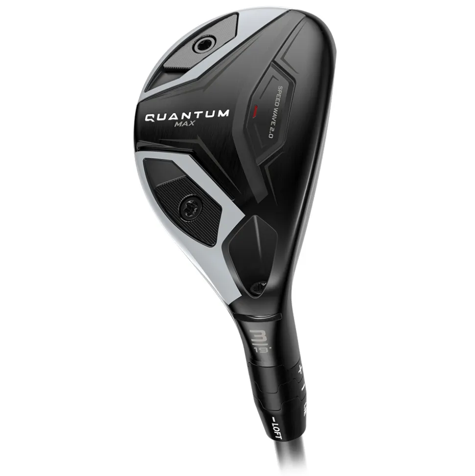 Quantum Max Hybrid