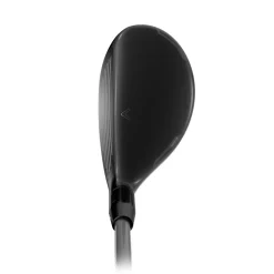Quantum Max Hybrid Dame