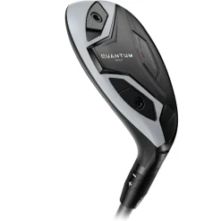 Quantum Max Hybrid Dame