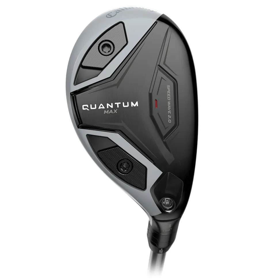 Quantum Max Hybrid Dame
