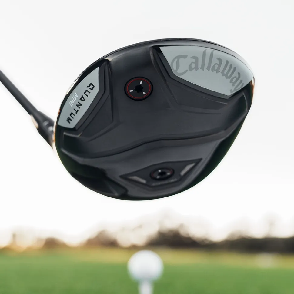 Quantum Mini Driver