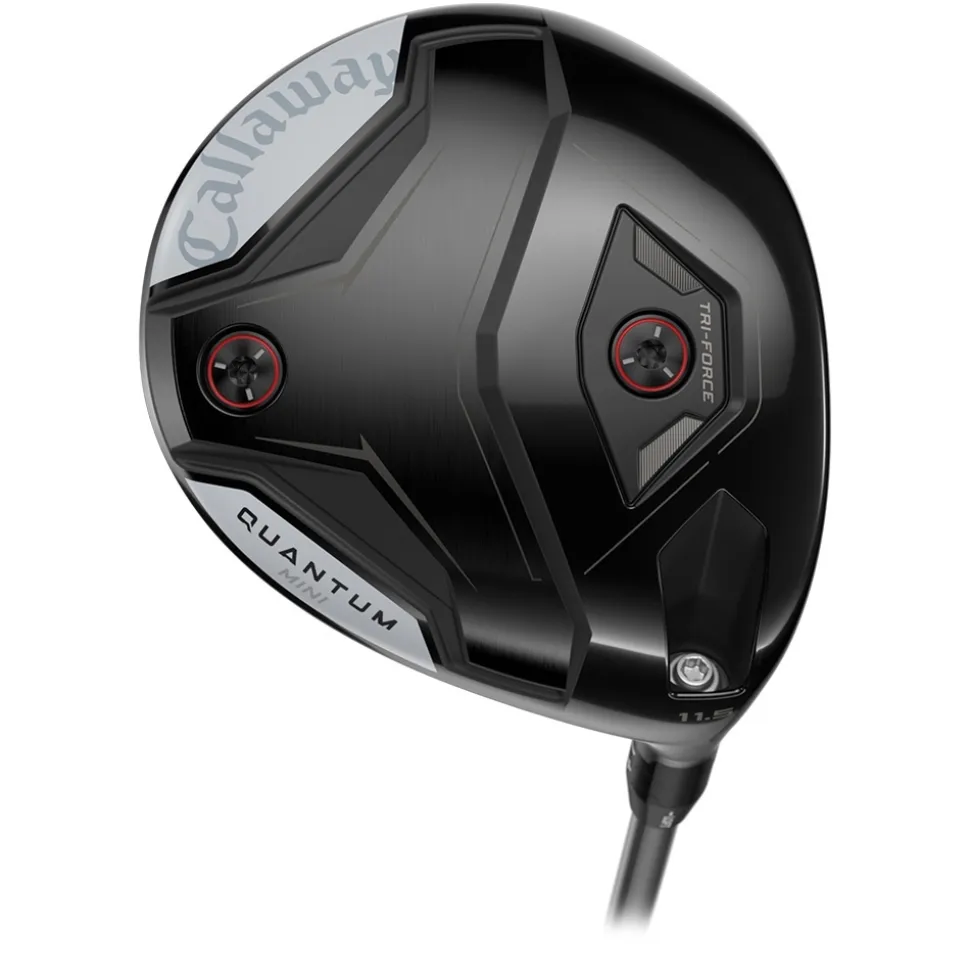 Quantum Mini Driver