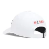 Tour Performance #1 Dad Caps